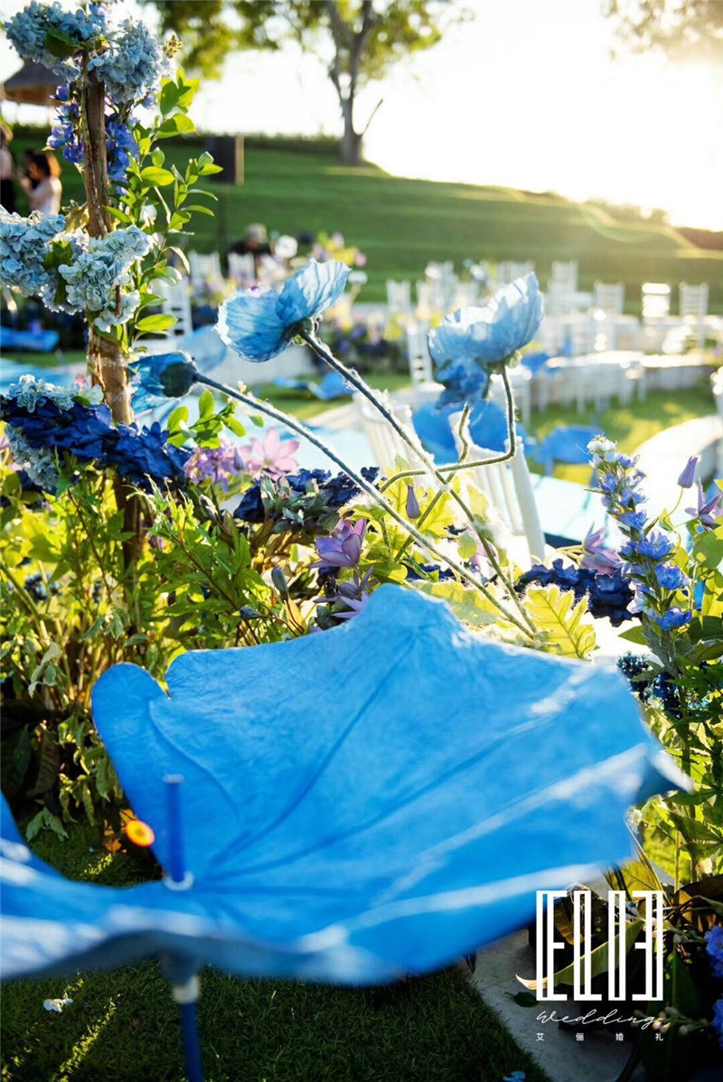 img003.jpg
